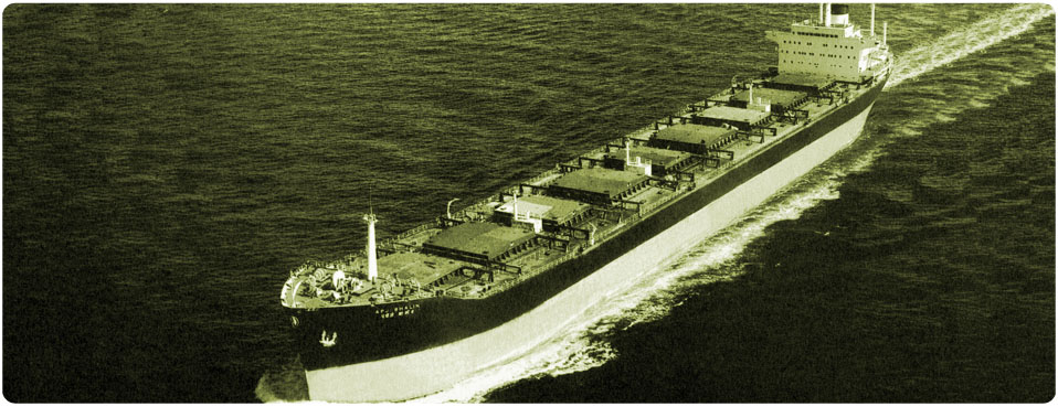 APJ Shalin
